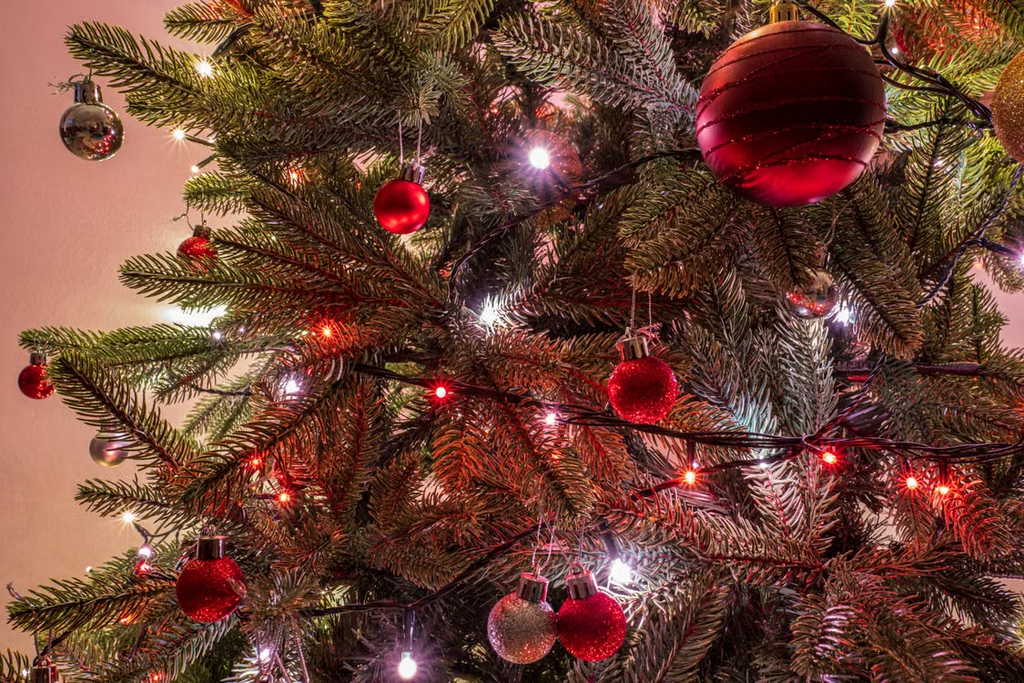 Een kerstboom die elk jaar voor je klaarstaat