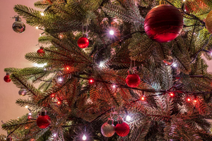 Een kerstboom die elk jaar voor je klaarstaat