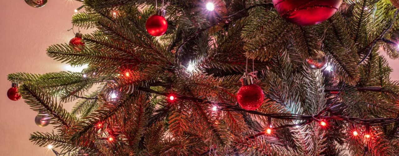 Een kerstboom die elk jaar voor je klaarstaat